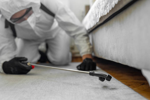Professional Bed Bug Control technician working in Jones, OK