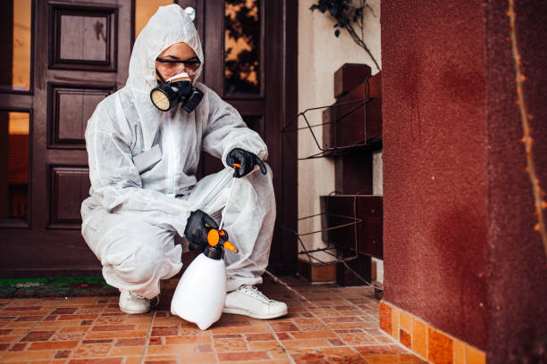 Reliable Bed Bug Control contractor in Jones, OK by Nex Pest Control