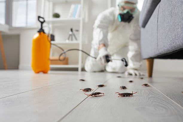 Trusted Termite Control service in Jones, OK - Nex Pest Control